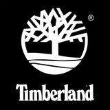 Timberland - Women's 6-inch Premium Waterproof Boot